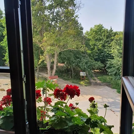 Grof Esterhazy Moric Oekoturisztikai Koezpont * Gant